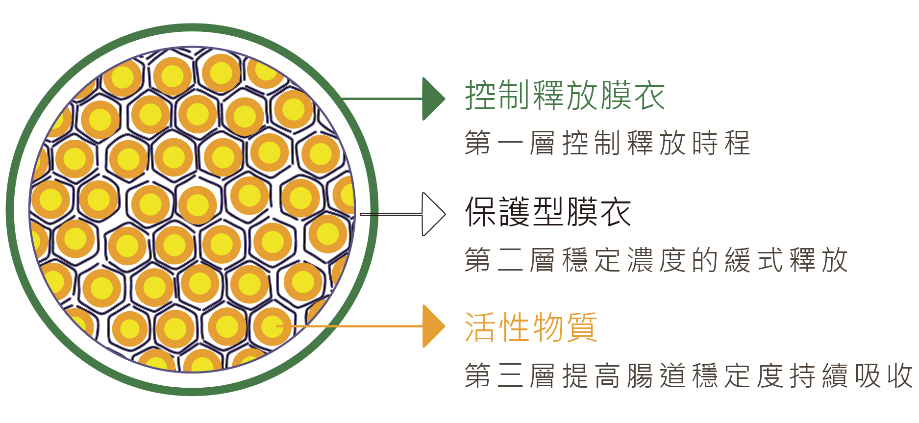 你的日常健康管家艾薇斯提，延續老字號南光化學製藥的使命-守護健康，為你的日常營養補充、體力增強、肌膚調理把關